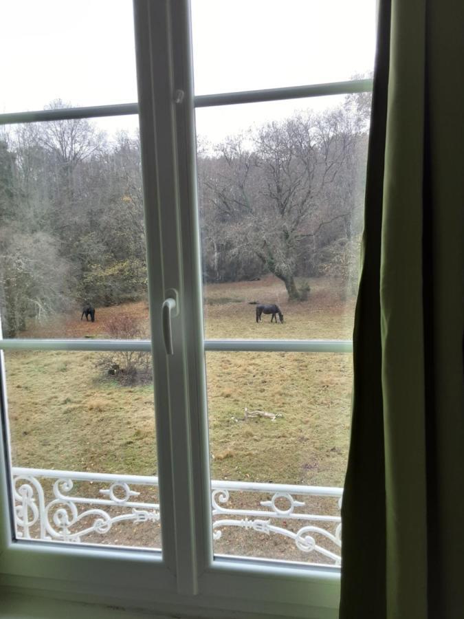 Chateau De La Touche Proche Poitiers Hotel Savigny-Lévescault Buitenkant foto