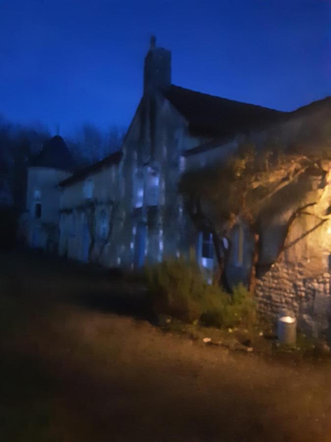 Chateau De La Touche Proche Poitiers Hotel Savigny-Lévescault Buitenkant foto